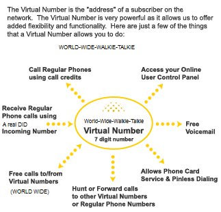 Virtual numbers1